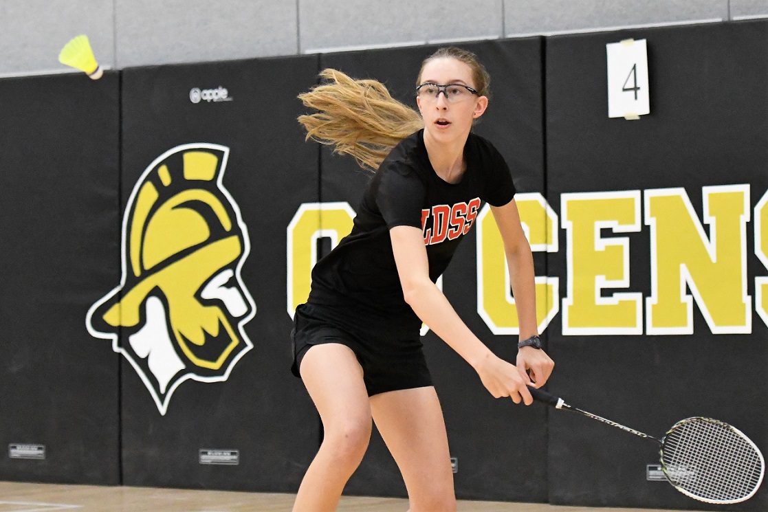 WOSSAA Senior badminton