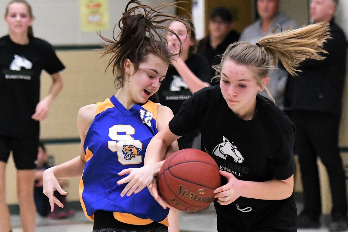 TVDSB SW girls' AA basketball final