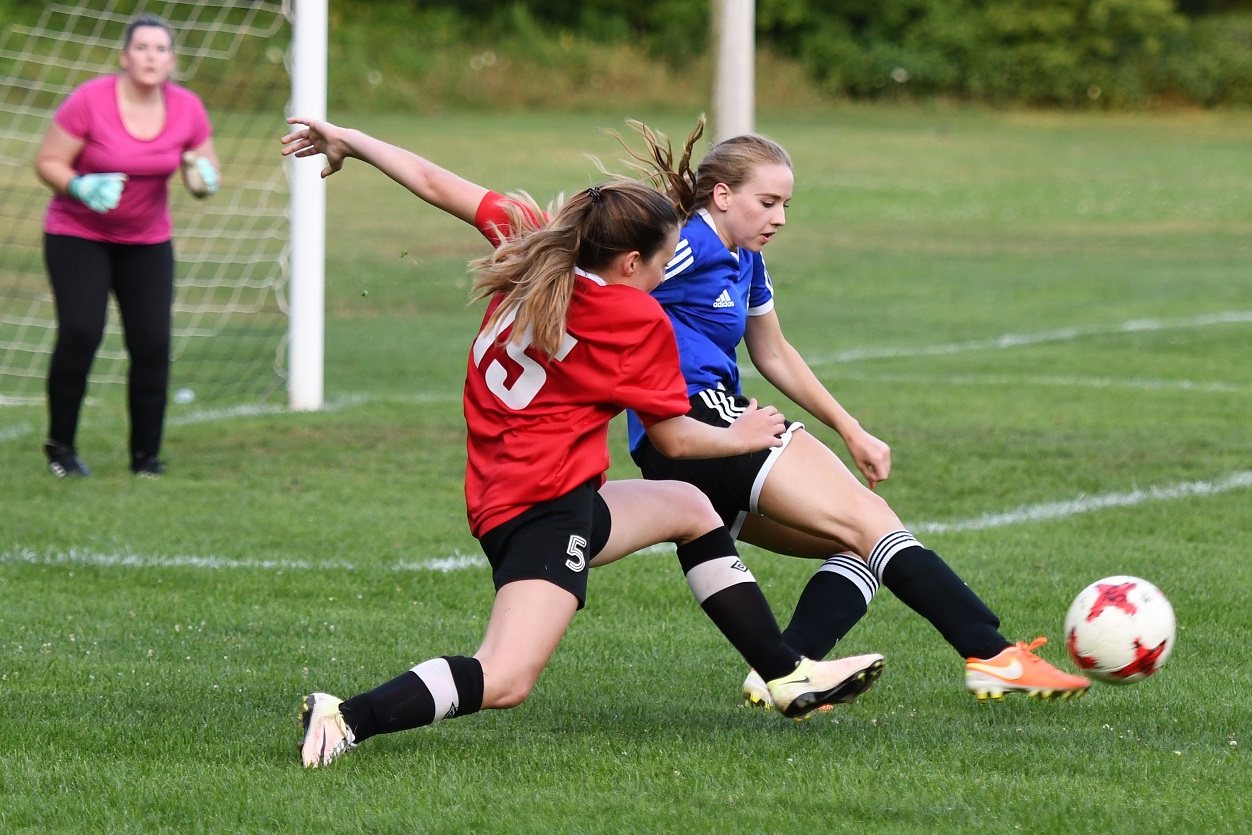 LAWSL DOR blanks STT