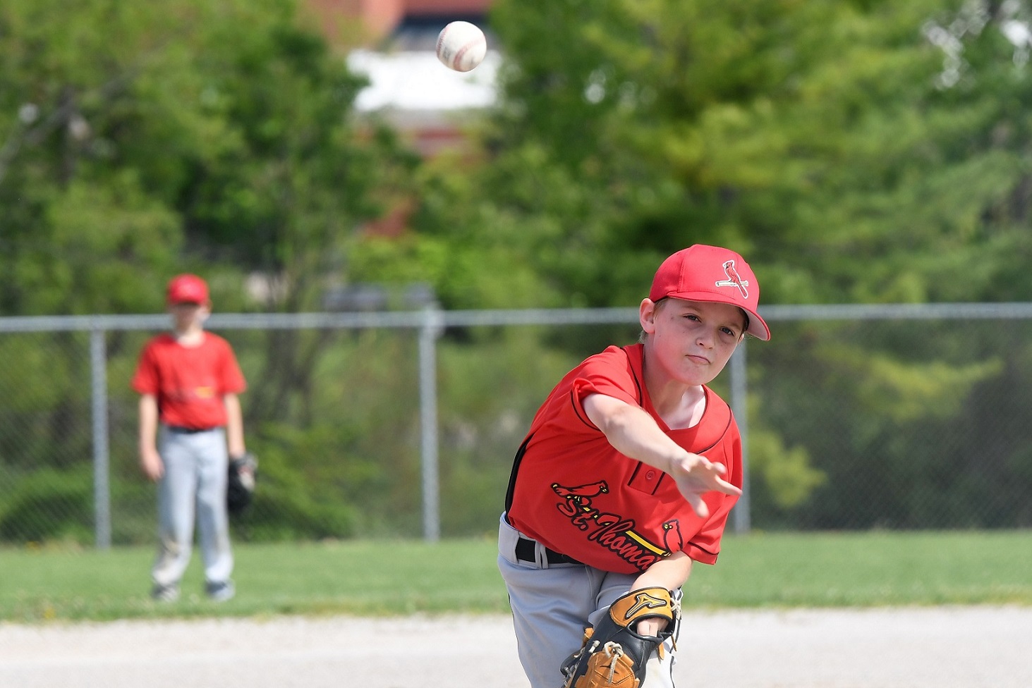 major mosquito final