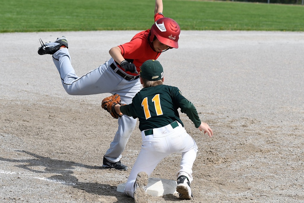 major mosquito final