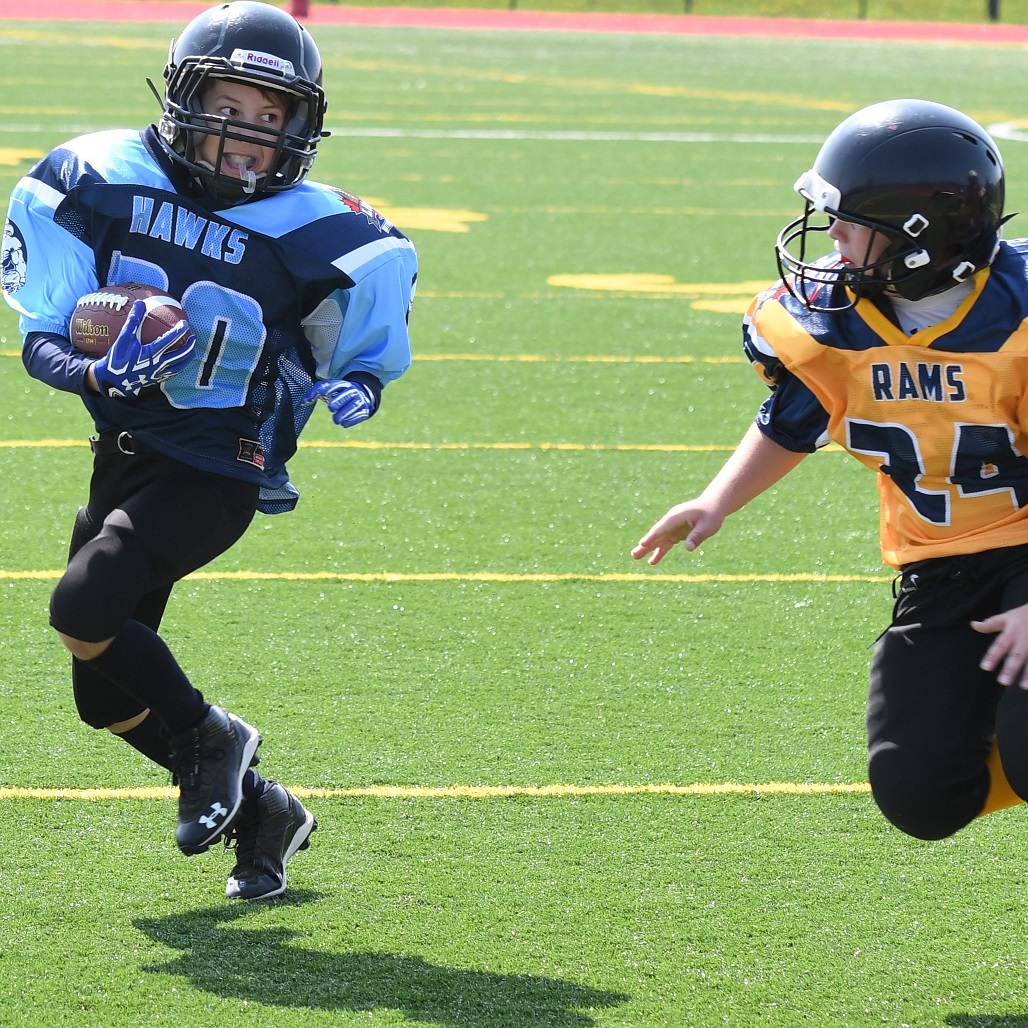 Hawks peewee football